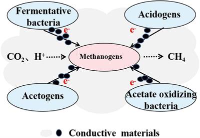 Improvement of Direct Interspecies Electron Transfer via Adding Conductive Materials in Anaerobic Digestion: Mechanisms, Performances, and Challenges